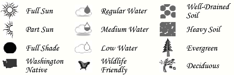 Key.PNG#asset:1954
